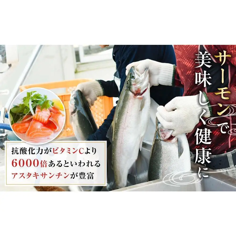 【数量限定】訳あり 国産 とっとり 琴浦 グラン サーモン カマトロ 3kg（1kg×3パック）サーモン