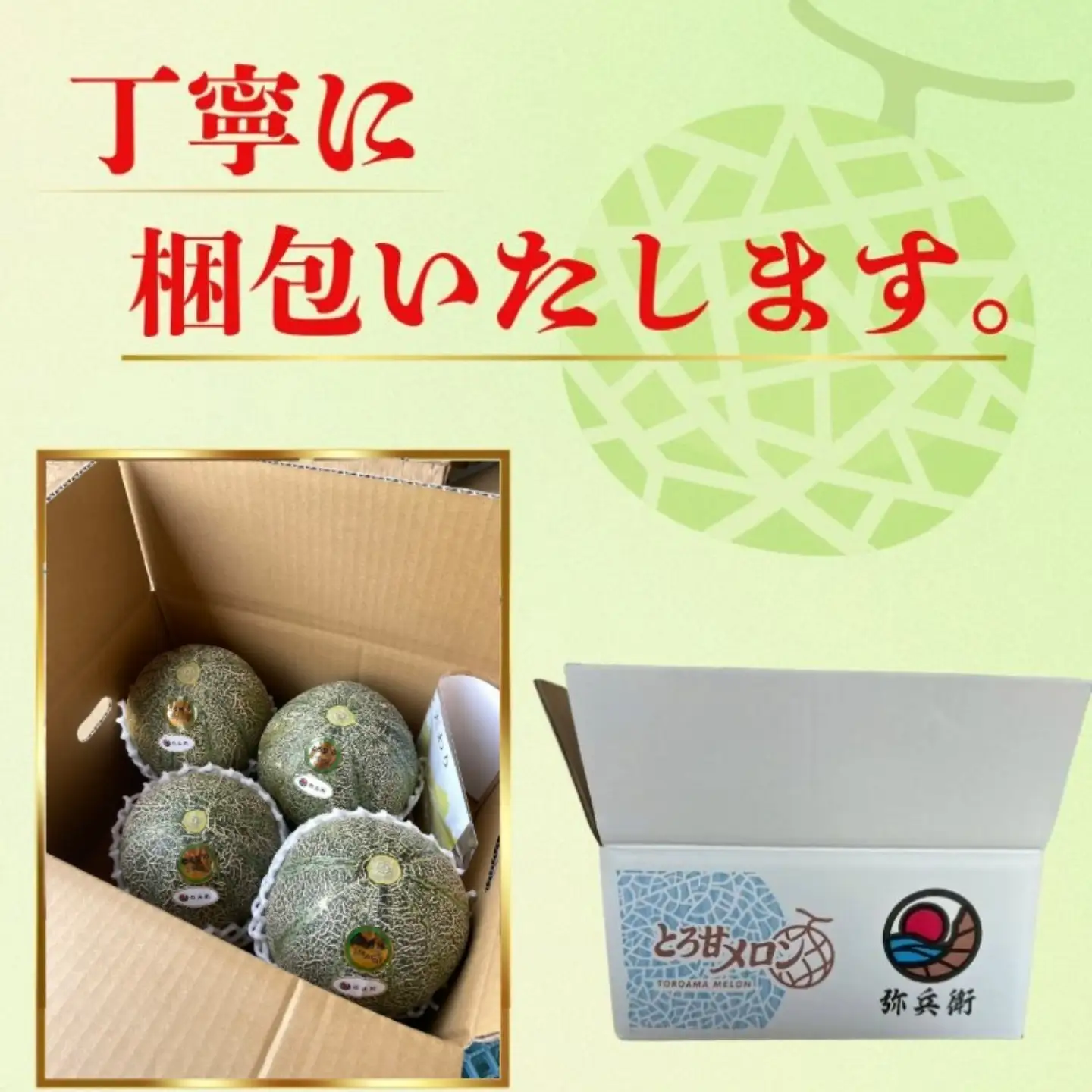 アムスメロン 4玉 メロン 【6月下旬〜7月中旬発送】