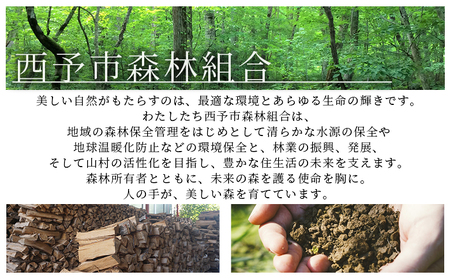 ＜山護人YAMAMORIBITO ストーブ用薪（皮付き）約20kg＞ 薪 まき 木 ストーブ 暖炉 だんろ 焚き火 たき火 木材 広葉樹 クヌギ くぬぎ 櫟 ナラ なら 楢 燃料 アウトドア キャンプ 備蓄 防災 西予市森林組合 愛媛県 西予市【常温】『1か月以内に順次出荷予定』USK0004