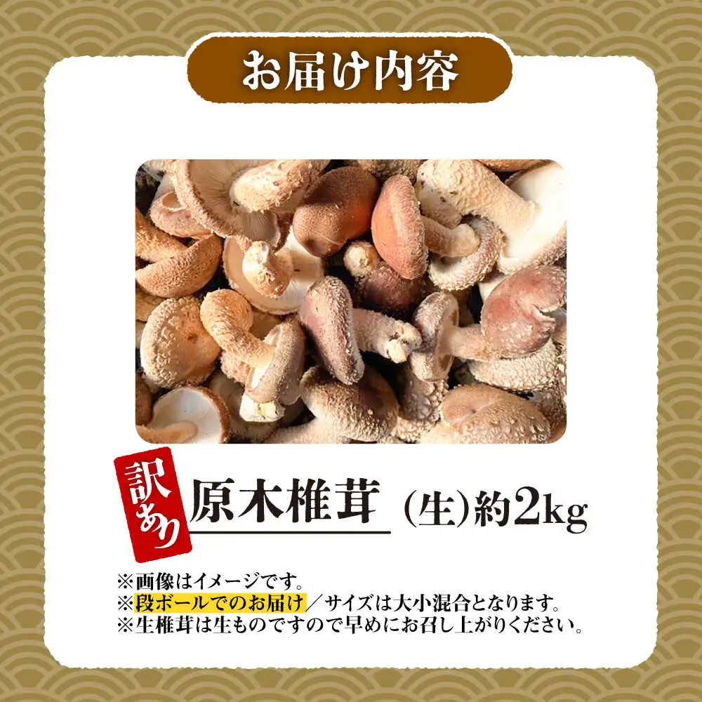 【訳あり】原木 生しいたけ 約2kg | 合同会社カルシ [BNAU006]