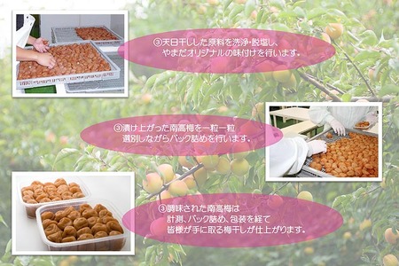 紀州南高梅プレミアム塩分約3％（850g）| 梅干し 減塩