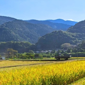 玄米デカフェ　ドリップ５個＋粉200g　セット【 デカフェ ドリップバッグ 神奈川県 山北町 】