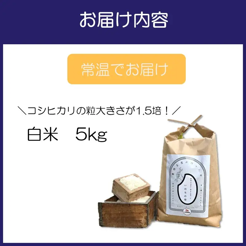 「いのちの壱」白米 5kg【106D-001】