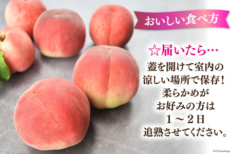 桃 山梨 山梨県産 もも 約 1.8kg  朝どり 【2027年発送】NS-1006