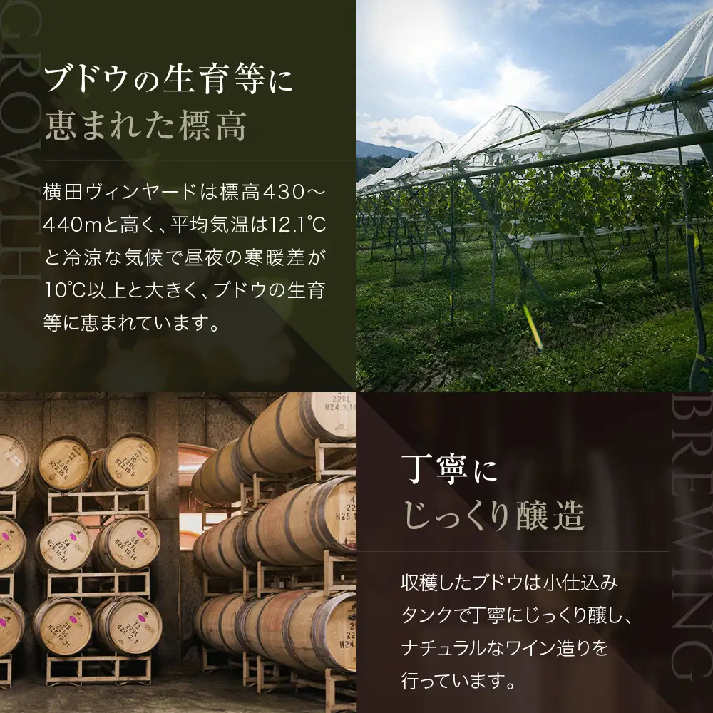 島根わいん　出雲デラウェア　オランジュ　2本セット