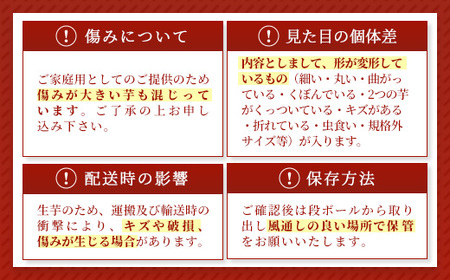 【ふるなびWEEK対象】【訳あり】生芋10kg　SSサイズ～2Lサイズ（サイズバラ） ※離島への配送不可 ※2025年12月下旬頃より順次発送予定