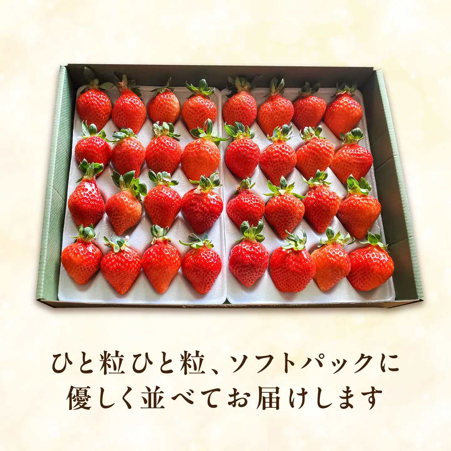 【先行受付】【化粧箱】あまおう いちご600ｇ以上  【2027年1月以降順次発送】糸島市 /株式会社フルコンス [ALO001]