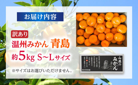 【先行予約】 訳あり 温州みかん 『青島』 約5kg S~Lサイズ 【奥村果実園】[ZFK001]