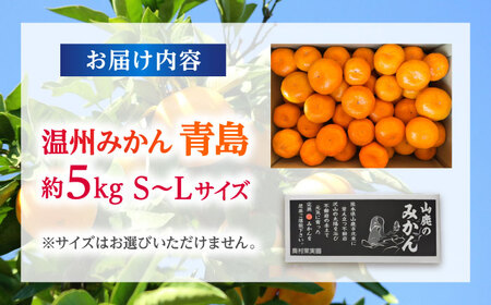 【先行予約】 温州みかん 『青島』 約5kg S~Lサイズ 【奥村果実園】[ZFK005]