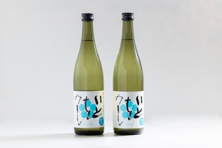 【２回定期便】純米吟醸いとをかし 720ml×2本 - お酒 さけ 酒 日本酒 米 飲み物 飲料 アルコール 晩酌 フルーティー 特産品 ギフト 贈り物 贈答用 プレゼント お酒好き 記念日 お礼 御礼 お祝い 高知県 香南市 Wgs-0180