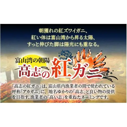 【先行予約】【冷凍】ボイル紅ズワイガニ 【大サイズ】【26年10月以降順次発送】冷凍ボイル紅ズワイガニ 茹で上がり後　700g前後×2杯 
