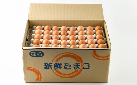 さかもと養鶏の白鳳卵：160個入り | 卵 たまご 玉子 タマゴ 生たまご 生卵 白鳳卵 奈良県 五條市