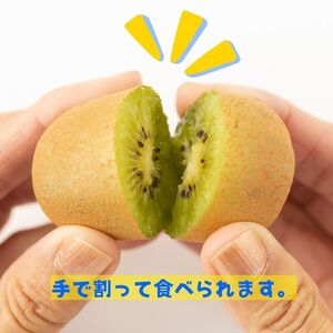 【全2回フルーツ定期便】さぬき讃フルーツ　さぬきゴールドとさぬきキウイっこ【C-27】