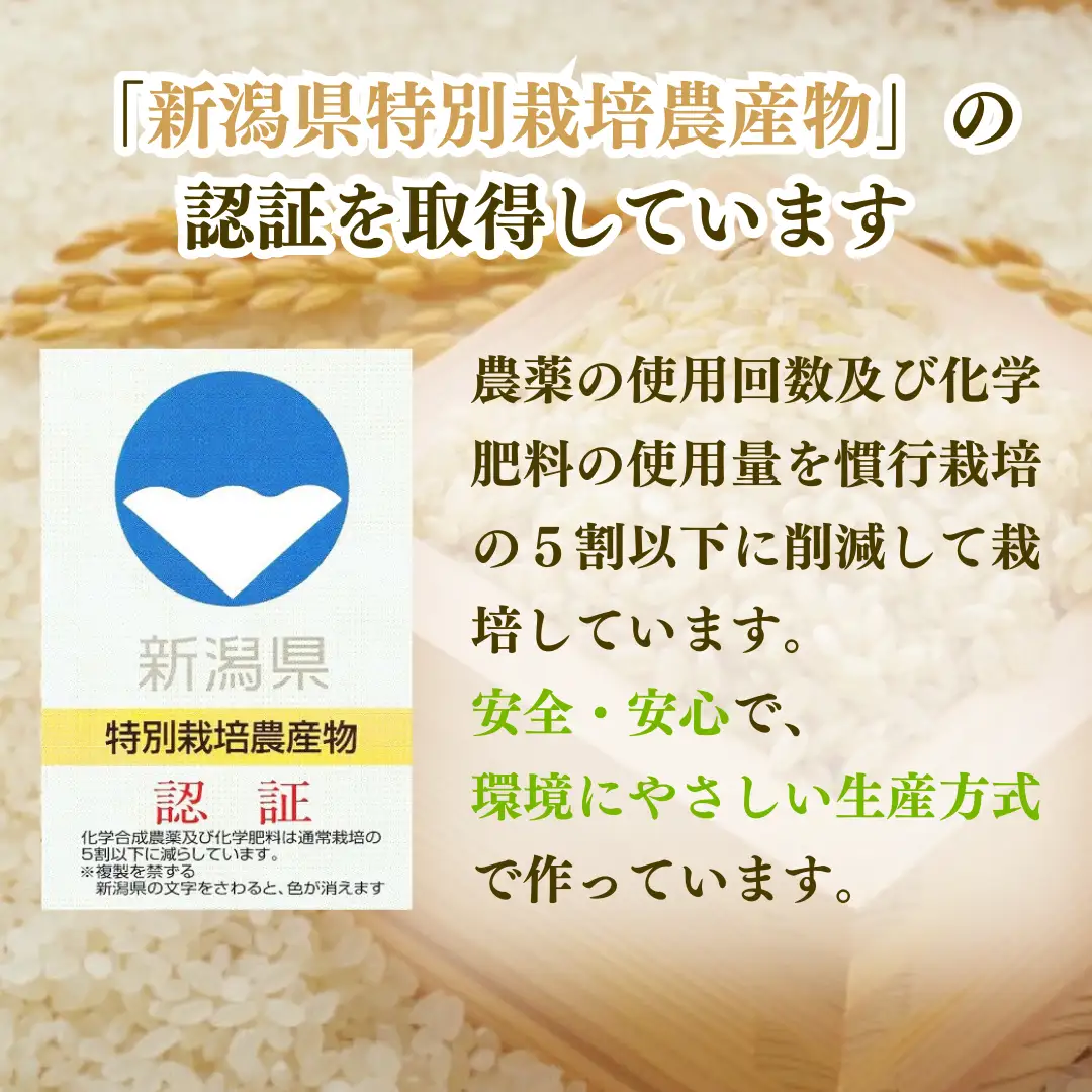 【定期便】【新米】【先行予約】 特別栽培 新潟産コシヒカリ 「出雲崎の輝き」  5kg 3か月 (9月下旬より順次発送予定 ) 令和8年産 合計15kg | コシヒカリ 新潟県 出雲崎町