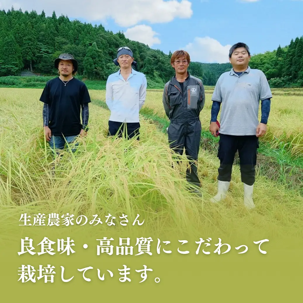 【新米】【先行予約】 食べ比べ 3種 「コシヒカリ、出雲崎の輝き、新之助」 5kg×3種類 合計15kg 令和8年産 | コシヒカリ 新潟県 出雲崎町