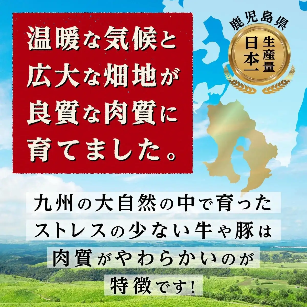 九州産豚肉1.5kg　2種セット　（ロース生姜焼き用350g×2　バラスライス　400g×2　）