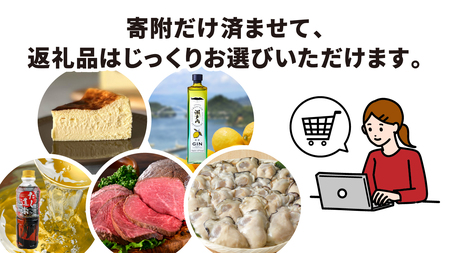 あとからセレクト【ふるさとギフト】寄附400,000円　広島県呉市 ku999-040