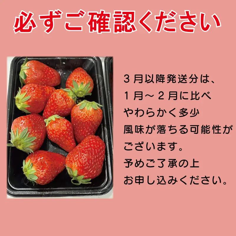 【 紅ほっぺ 】 540g 紅ほっぺ 3月～順次発送 苺 いちご