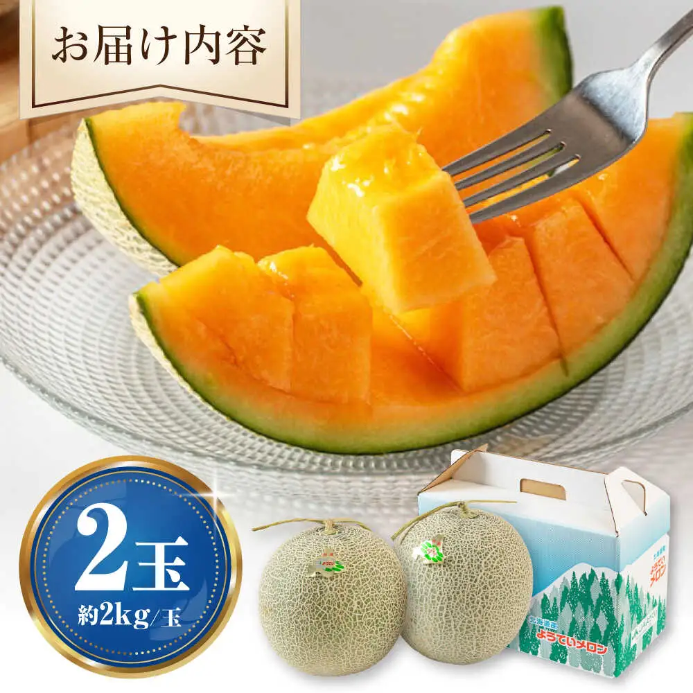 【先行予約】赤肉メロン2玉 [AJAK024] メロン 夏