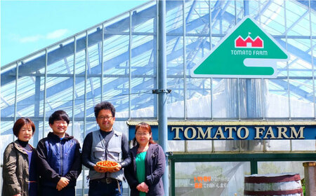 日田の濃縮トマト 2箱 計1.6kg / 日田市 / 有限会社マルカ農園(トマトファーム)[ARAH001]