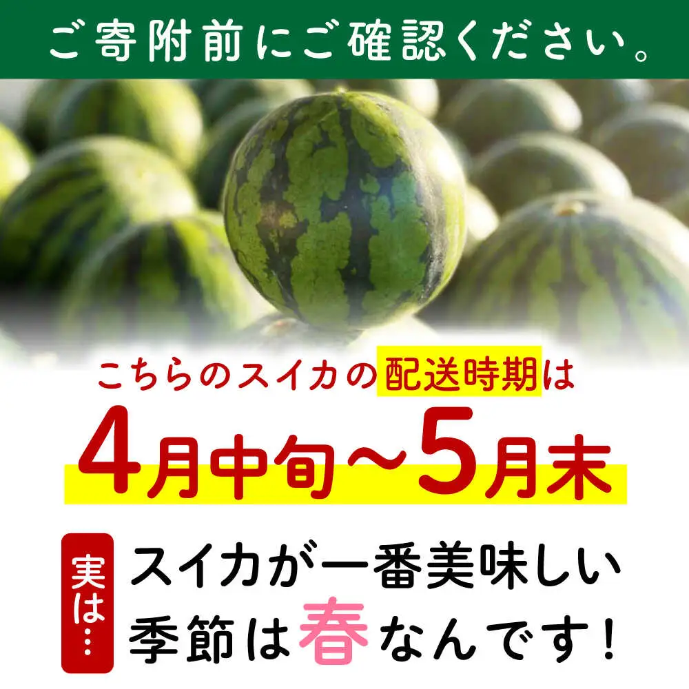 先行予約 大玉スイカ約7kg以上(1玉)ZEM004