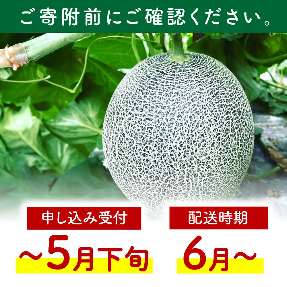 先行予約 肥後グリーンメロン約4kg(2玉)ZEM006