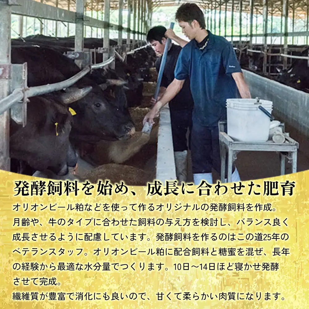 もとぶ牧場ウインナーギフトセット（170g×4パック） 