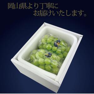 [HS]9月・10月発送 最高級品 シャインマスカット 晴王 2房 〈合計約1.3kg〉 ｜  シャインマスカット