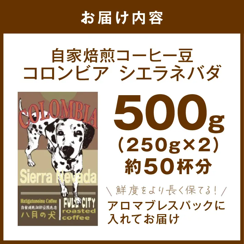 【コーヒー豆】 コロンビア シエラネバダ 500g コーヒー豆