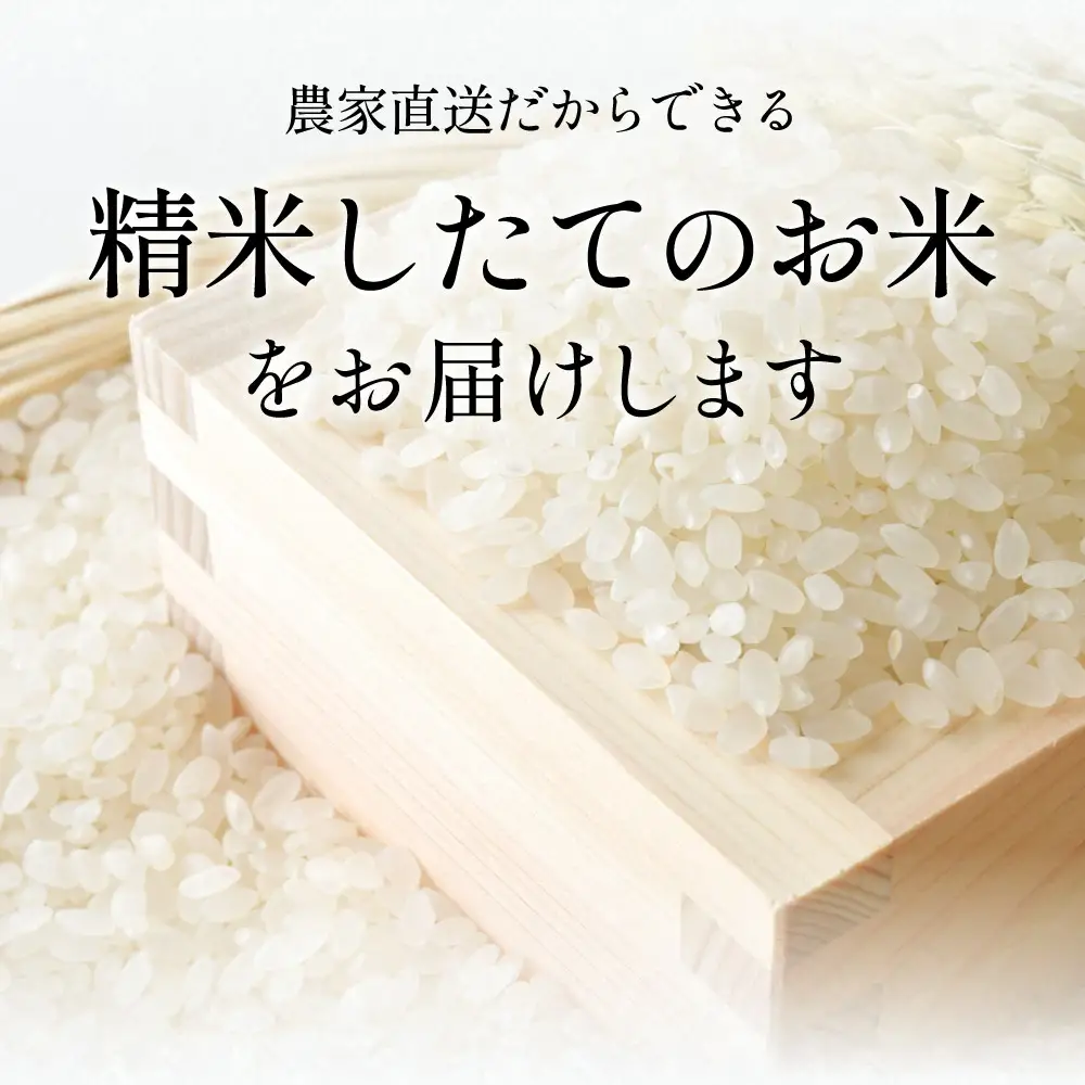 寄付額改定〈スピード出荷〉減農薬 特A 丹波篠山産 特別栽培米 こしひかり 20kg 精米 小分け