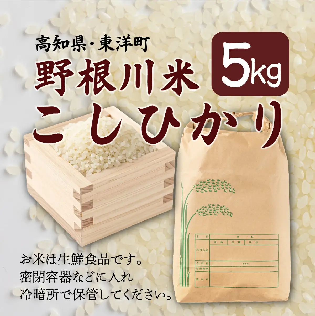  令和8年産 野根川米5kg こしひかり 米 国産 コメ