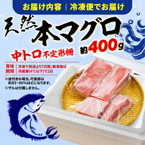 訳あり 天然 本鮪 中とろ 約400g 鮪