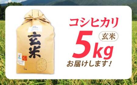 低農薬有機肥料栽培 コシヒカリ 玄米5Kg[AQBL002]こしひかり