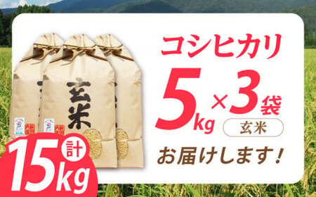 栽培期間中農薬不使用 特別栽培米 コシヒカリ玄米5Kg×３袋[AQBL006]こしひかり