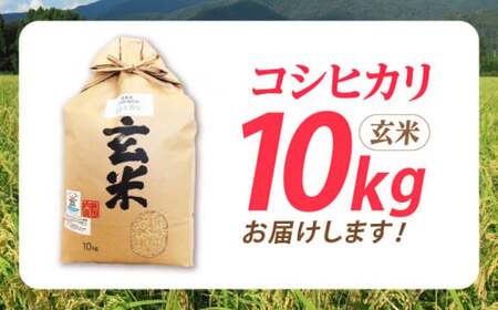 低農薬有機肥料栽培 コシヒカリ 玄米10Kg[AQBL008] 玄米