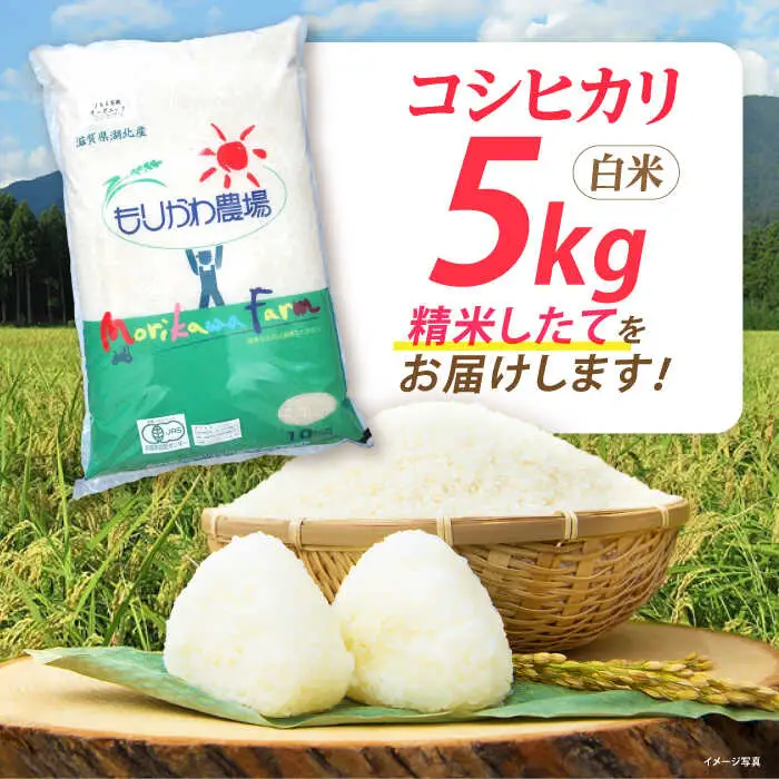 米 コシヒカリ JASオーガニック 5kg 白米 [AQBL009]白米 こしひかり