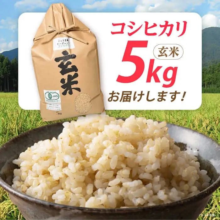 米 コシヒカリ JASオーガニック 5kg 玄米 [AQBL010]玄米 コシヒカリ