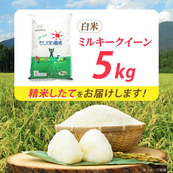 低農薬栽培 ミルキークイーン 白米5kg[AQBL023] 白米