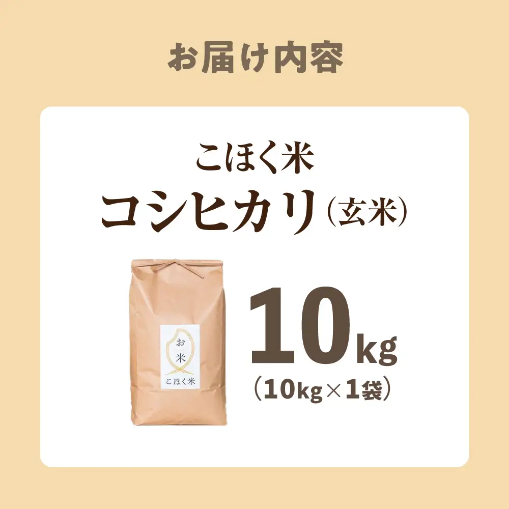 コシヒカリ 玄米10kg[AQAK003] コシヒカリ