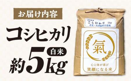 七神氣こしひかり (有機栽培) 白米 5kg [AQCN001] コシヒカリ