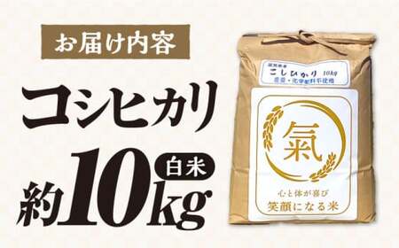 七神氣こしひかり (有機栽培) 白米 10kg [AQCN002] コシヒカリ