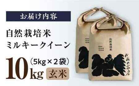 【先行予約】令和8年産 新米 ミルキークイーン 10kg 玄米 [AQCP005]
