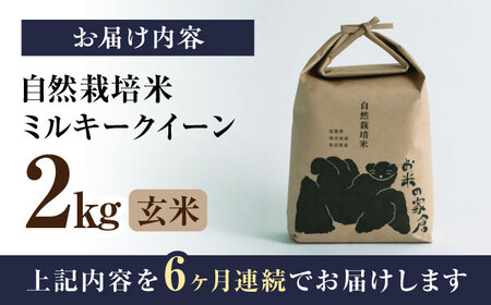 【先行予約】令和8年産 新米 6回定期 ミルキークイーン 2kg 玄米 [AQCP009]