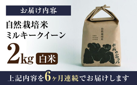 新米 6回定期便 ミルキークイーン 2kg 白米 [AQCP010] 米 定期便