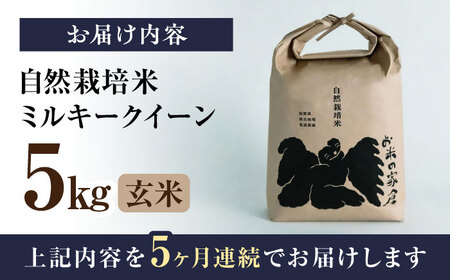 【先行予約】令和8年産 新米 5回定期 ミルキークイーン 5kg 玄米 [AQCP011]