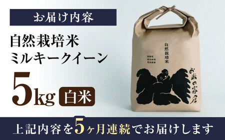 新米 5回定期便 ミルキークイーン 5kg 白米 [AQCP012] 米 定期便