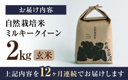 【先行予約】令和8年産 新米 12回定期 ミルキークイーン 2kg 玄米 [AQCP015]