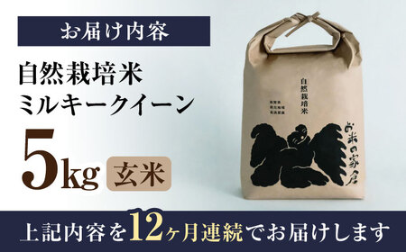 【先行予約】令和8年産 新米 12回定期 ミルキークイーン 5kg 玄米[AQCP017]