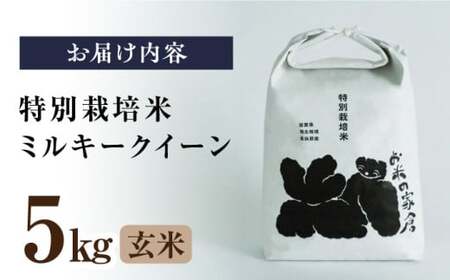令和8年産 新米 ミルキークイーン 5kg 玄米 特別栽培米 [AQCP019]