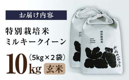 令和8年産 新米 米 ミルキークイーン 10kg 玄米 特別栽培米 [AQCP021]